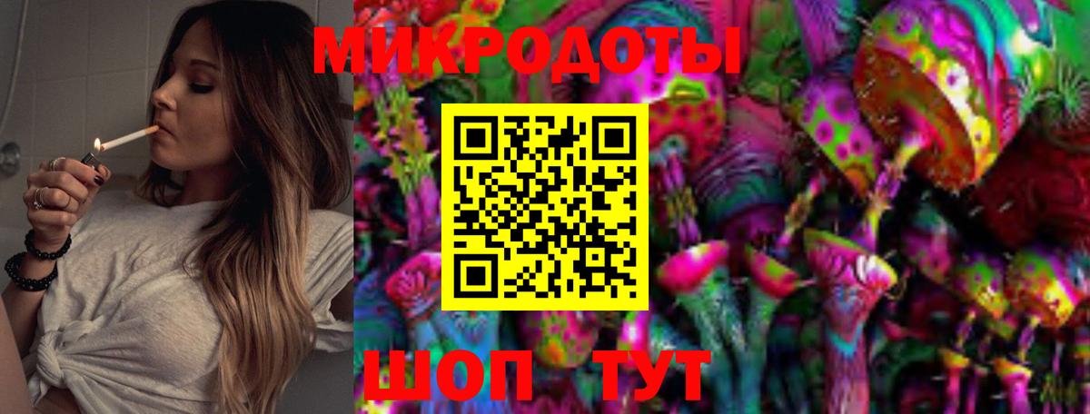 Псилоцибиновые грибы Cubensis Самара